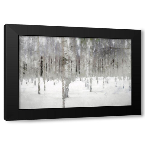 Birches In Fog Black Modern Wood Framed Art Print with Double Matting by Curinga, Kim
