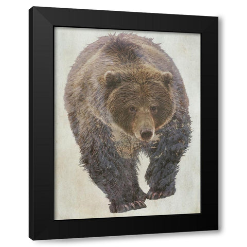 Brown Bear Walking Black Modern Wood Framed Art Print by Curinga, Kim