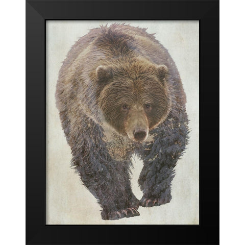Brown Bear Walking Black Modern Wood Framed Art Print by Curinga, Kim