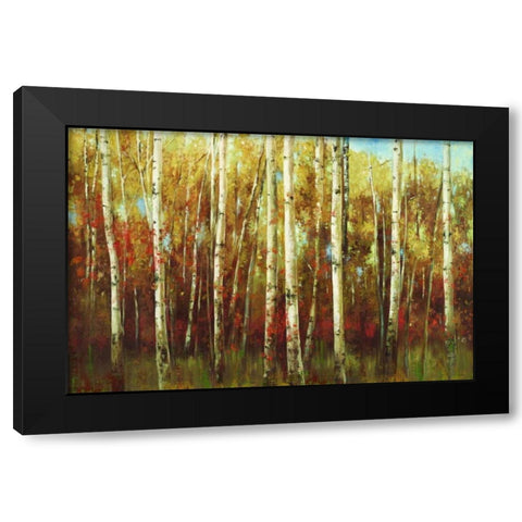 Birch Forest Black Modern Wood Framed Art Print by K., Ella
