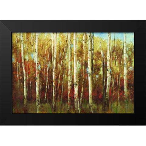 Birch Forest Black Modern Wood Framed Art Print by K., Ella
