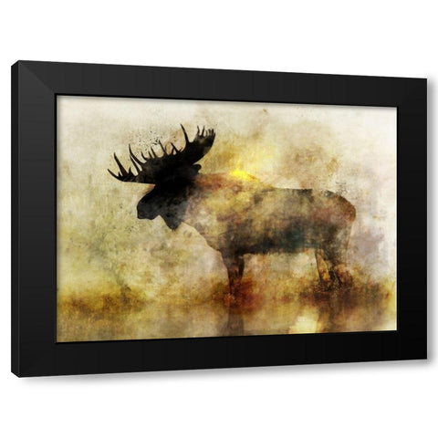 Happy Moose II Black Modern Wood Framed Art Print with Double Matting by Roko, Ken