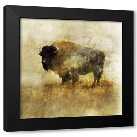 Peaceful Bison II Black Modern Wood Framed Art Print by Roko, Ken