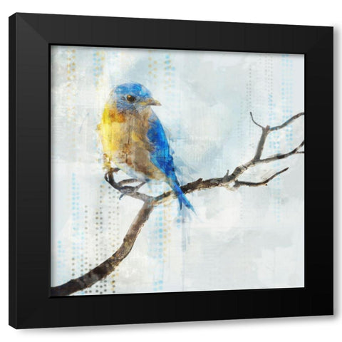 Little Blue Bird I  Black Modern Wood Framed Art Print by Roko, Ken