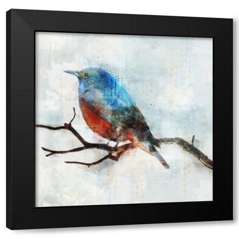 Little Blue Bird II  Black Modern Wood Framed Art Print with Double Matting by Roko, Ken