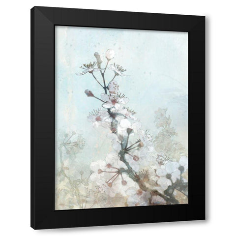 Climbing Cherry Blossoms I  Black Modern Wood Framed Art Print by Roko, Ken