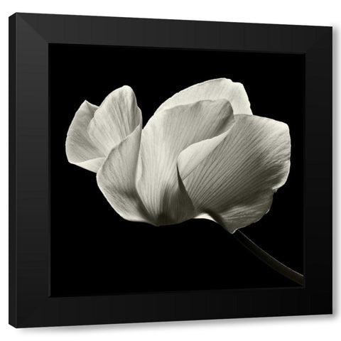 Numen Black Modern Wood Framed Art Print by Le Blanc, Dawn