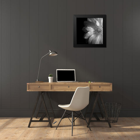 Clematis Black Modern Wood Framed Art Print by Le Blanc, Dawn