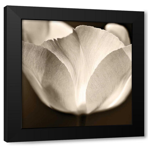 Glow Black Modern Wood Framed Art Print with Double Matting by Le Blanc, Dawn