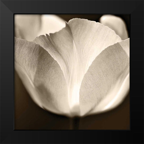 Glow Black Modern Wood Framed Art Print by Le Blanc, Dawn