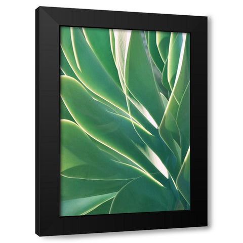 Botanical Light Play Black Modern Wood Framed Art Print by Robertson, Leda