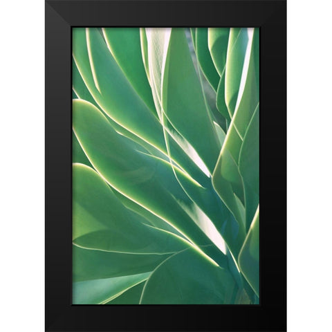 Botanical Light Play Black Modern Wood Framed Art Print by Robertson, Leda