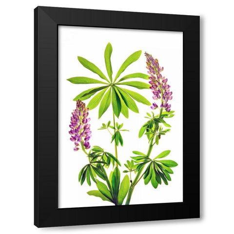 Greet the Day Black Modern Wood Framed Art Print with Double Matting by Robertson, Leda