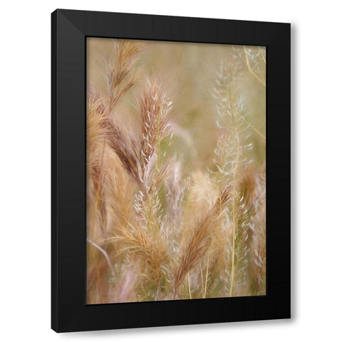 Dreamy Summer I  Black Modern Wood Framed Art Print by Robertson, Leda