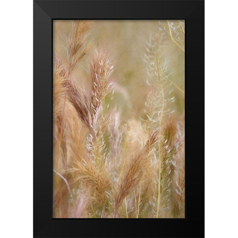 Dreamy Summer I  Black Modern Wood Framed Art Print by Robertson, Leda