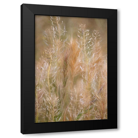Dreamy Summer II Black Modern Wood Framed Art Print by Robertson, Leda