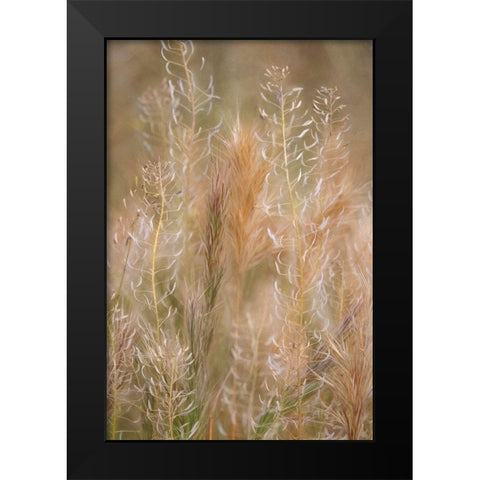 Dreamy Summer II Black Modern Wood Framed Art Print by Robertson, Leda
