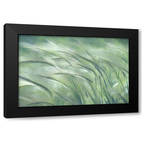 Gentle Dreams  Black Modern Wood Framed Art Print with Double Matting by Robertson, Leda