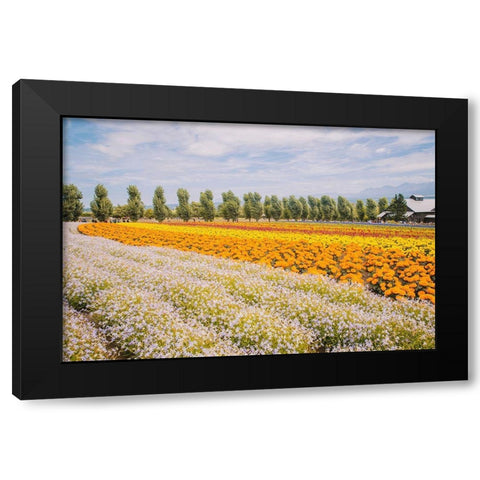 Flowers in Hokkaido I  Black Modern Wood Framed Art Print by Lefer, Clement