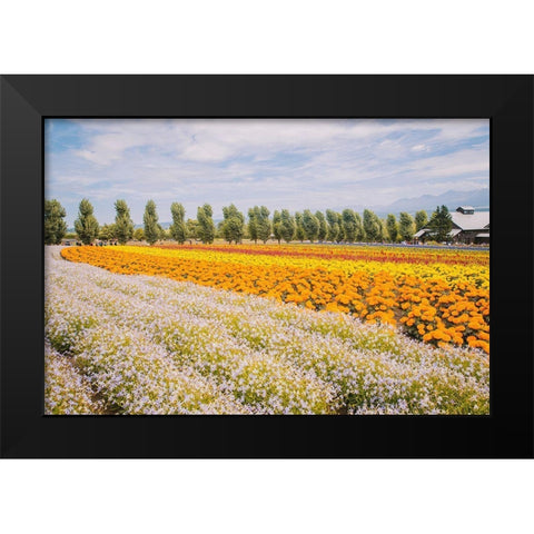 Flowers in Hokkaido I  Black Modern Wood Framed Art Print by Lefer, Clement