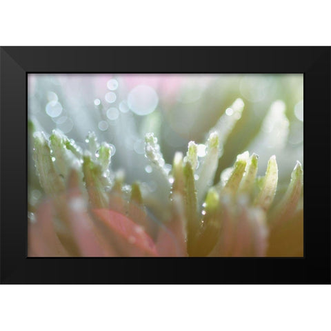 Tranquility Black Modern Wood Framed Art Print by Agrypolous, Lisa
