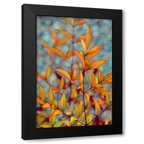 The Fire Within Black Modern Wood Framed Art Print with Double Matting by Agrypolous, Lisa