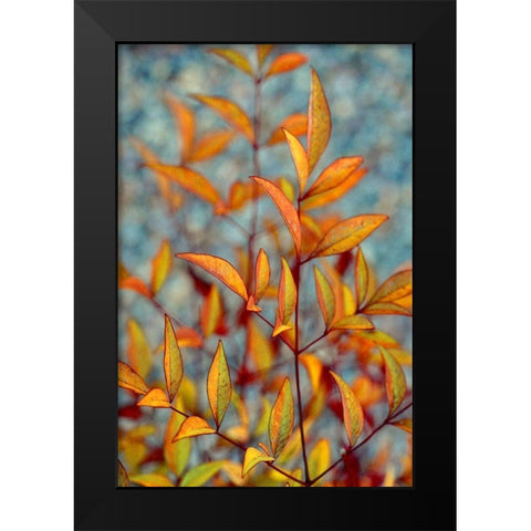The Fire Within Black Modern Wood Framed Art Print by Agrypolous, Lisa