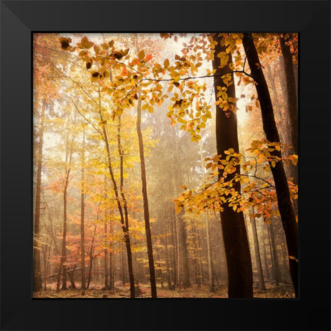Autumn Blush Black Modern Wood Framed Art Print by Lehnhardt, Iris