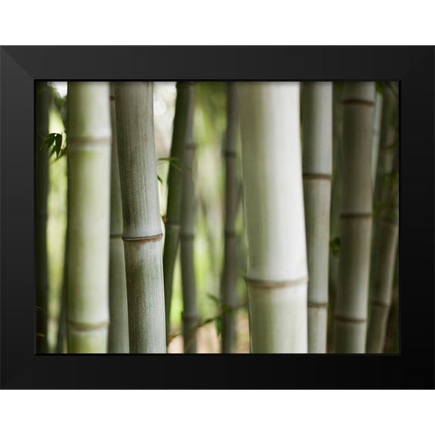 Huntington II Black Modern Wood Framed Art Print by Mourier, Lily