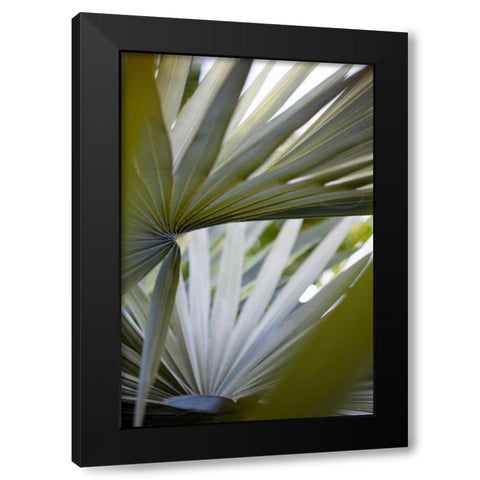 Transcending I Black Modern Wood Framed Art Print with Double Matting by Mourier, Lily