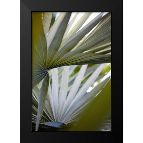 Transcending I Black Modern Wood Framed Art Print by Mourier, Lily