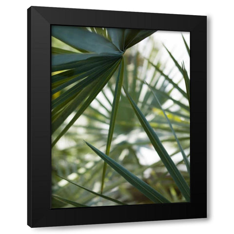 Transcending II Black Modern Wood Framed Art Print with Double Matting by Mourier, Lily