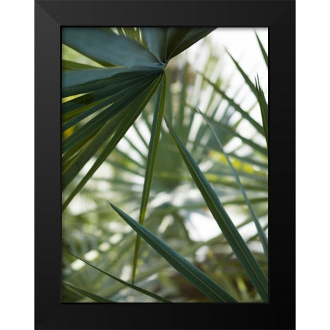 Transcending II Black Modern Wood Framed Art Print by Mourier, Lily