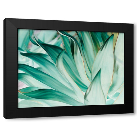 Prickle Black Modern Wood Framed Art Print by Mourier, Lily