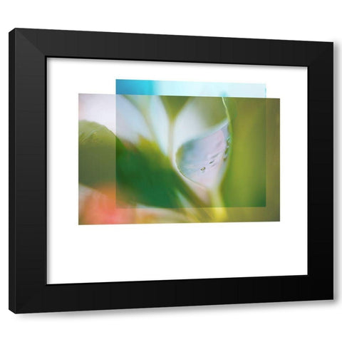 Leaf Overlap Black Modern Wood Framed Art Print with Double Matting by Delva, Florence