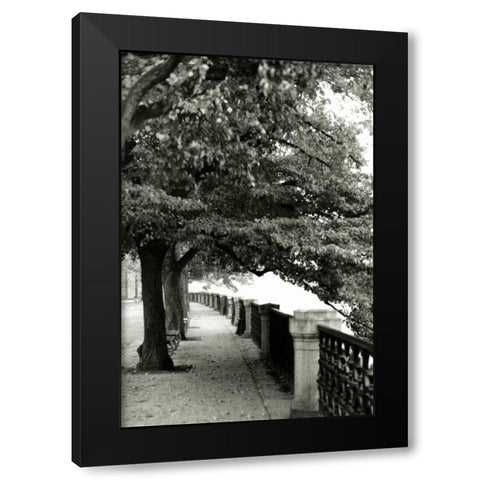 Park at Dusk II Black Modern Wood Framed Art Print with Double Matting by Denardo, Laura