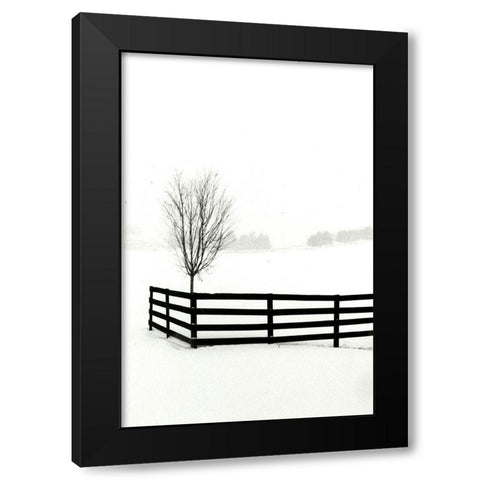 Snowy Wonderland I  Black Modern Wood Framed Art Print with Double Matting by Denardo, Laura