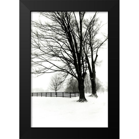 Snowy Wonderland II Black Modern Wood Framed Art Print by Denardo, Laura