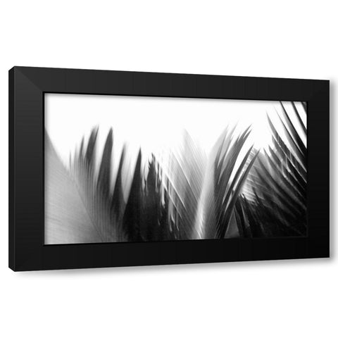 In the Green I - B-W  Black Modern Wood Framed Art Print by Weisbeck, Lena