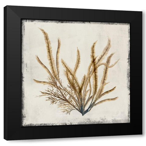 Yellow Coral I  Black Modern Wood Framed Art Print by Lily K