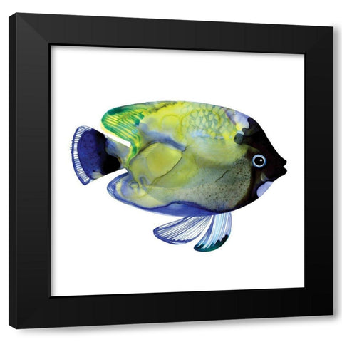 Green Fish Black Modern Wood Framed Art Print by Berg, Margaret