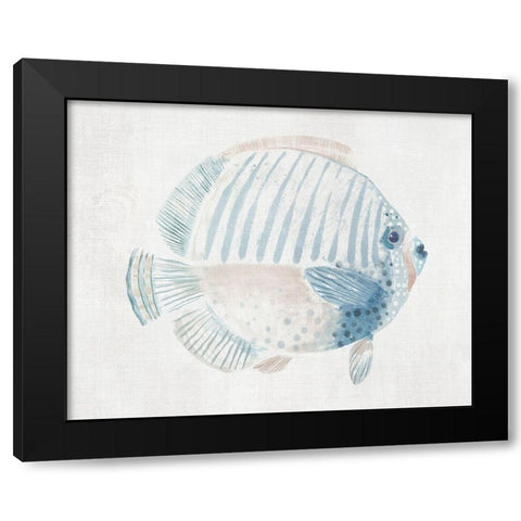 Sergeant Major Fish  Black Modern Wood Framed Art Print with Double Matting by Woods, Maya