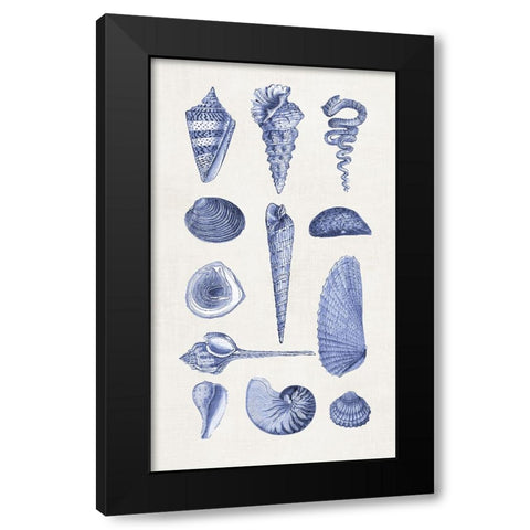 Blue Shells I Black Modern Wood Framed Art Print with Double Matting by Haase, Andrea