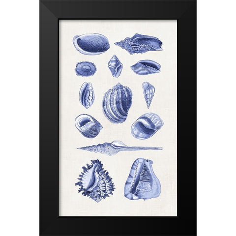 Blue Shells II Black Modern Wood Framed Art Print by Haase, Andrea