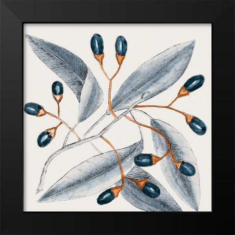 Vintage Blue Botanical I Black Modern Wood Framed Art Print by Haase, Andrea