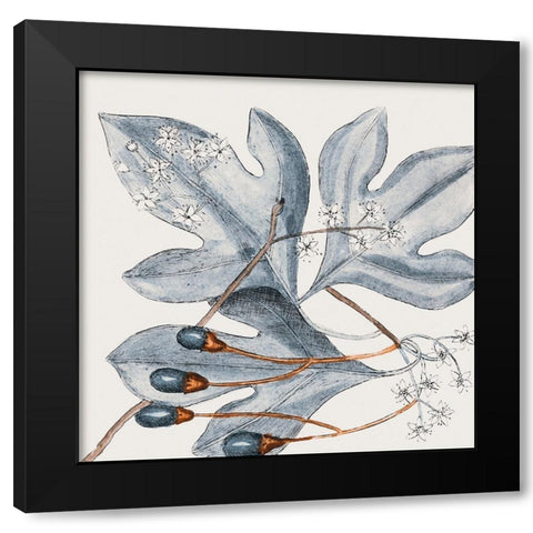 Vintage Blue Botanical II Black Modern Wood Framed Art Print by Haase, Andrea