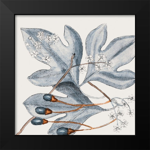 Vintage Blue Botanical II Black Modern Wood Framed Art Print by Haase, Andrea
