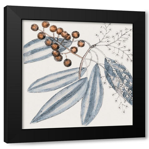 Vintage Blue Botanical IV Black Modern Wood Framed Art Print with Double Matting by Haase, Andrea
