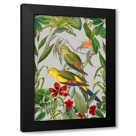 Parakeets Tropical Garden  II Black Modern Wood Framed Art Print with Double Matting by Haase, Andrea