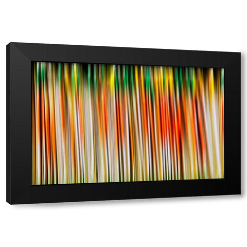Undulate I Black Modern Wood Framed Art Print with Double Matting by Nall, Skip